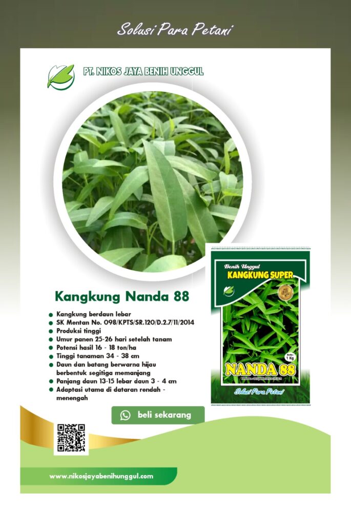 NANDA 88